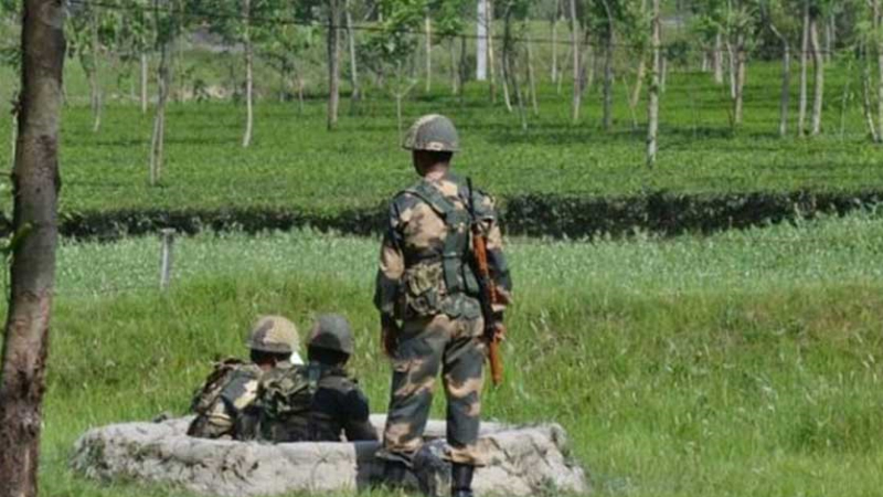 ১৩ বাংলাদেশিকে ধরে নিয়ে গেলো বিএসএফ