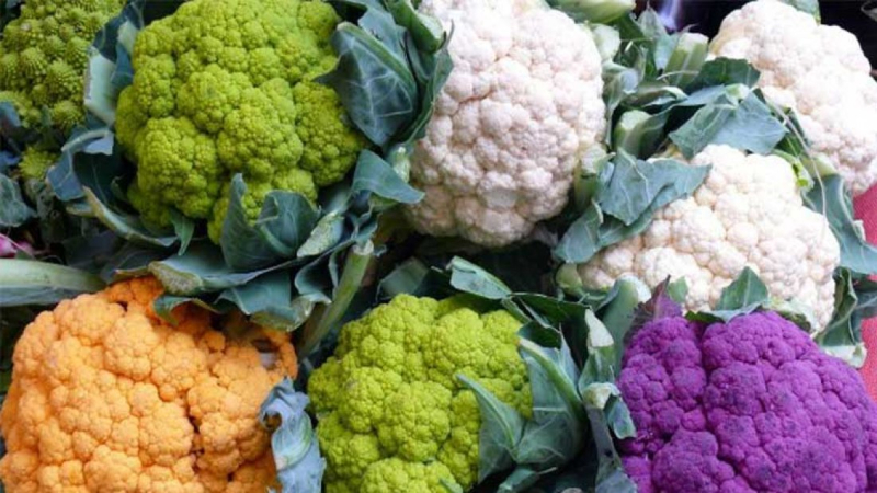 নানা রঙের ফুলকপি